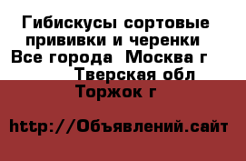 Гибискусы сортовые, прививки и черенки - Все города, Москва г.  »    . Тверская обл.,Торжок г.